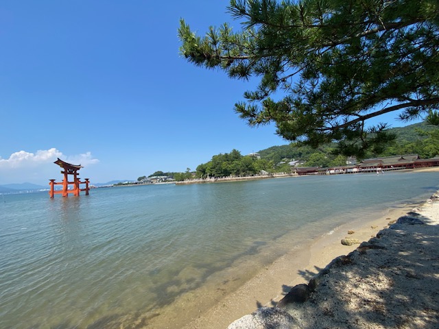 夏