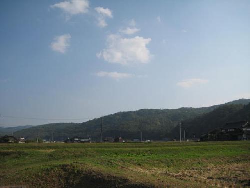いい天気