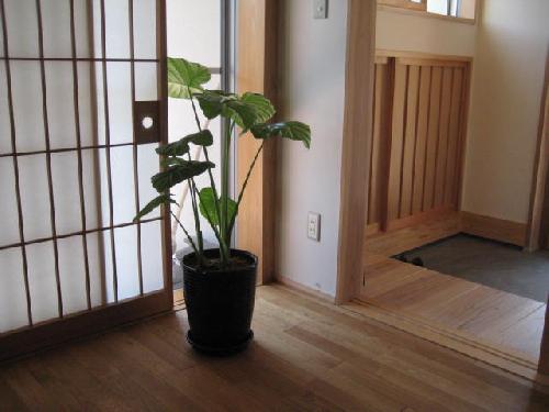 訪れてみました