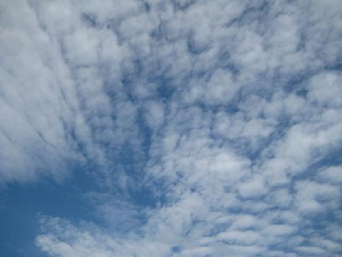 いわし雲