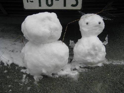 豪雪